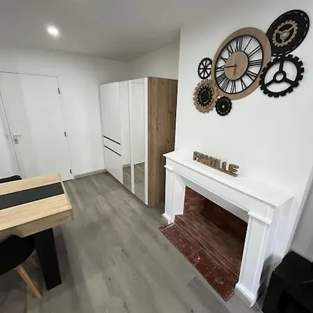 T3 Lumineux Et Renove