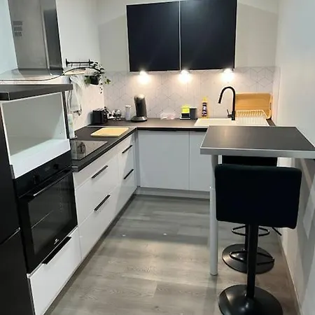 Apartment T3 Lumineux Et Renove Aurillac
